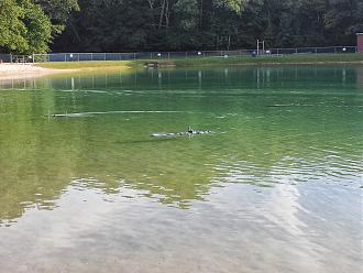 Click image for larger version  Name:	20130907_165913.jpg Views:	0 Size:	1.03 MB ID:	148308
