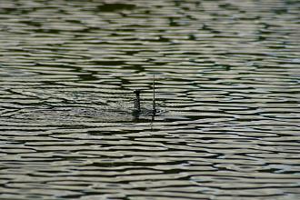 Click image for larger version

Name:	IMG_7871.jpg
Views:	181
Size:	1.52 MB
ID:	150844