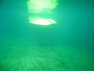 Click image for larger version  Name:	Flying Sub in pond.jpg Views:	1 Size:	34.7 KB ID:	150923