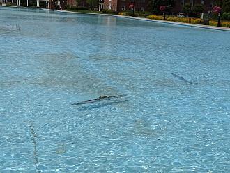 Click image for larger version  Name:	wb water.jpg Views:	0 Size:	2.11 MB ID:	151229