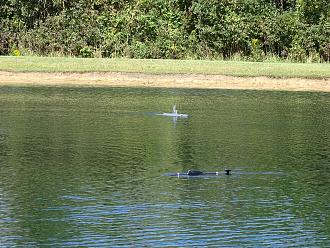 Click image for larger version

Name:	subs_3.jpg
Views:	222
Size:	2.35 MB
ID:	151293