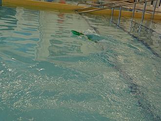 Click image for larger version

Name:	Gregs water slider _2.jpg
Views:	204
Size:	1.79 MB
ID:	151315