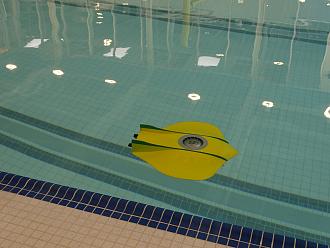 Click image for larger version

Name:	Flying Sub.jpg
Views:	130
Size:	1.30 MB
ID:	151584