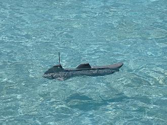 Click image for larger version

Name:	subs in water _1_s.jpg
Views:	107
Size:	1.96 MB
ID:	151811