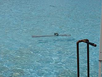 Click image for larger version

Name:	seaview in water_s.jpg
Views:	114
Size:	1.91 MB
ID:	151816