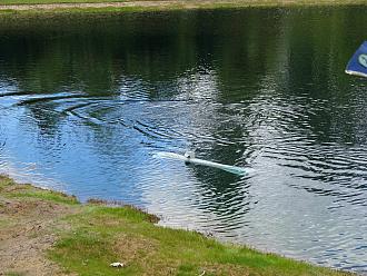 Click image for larger version

Name:	seaview.jpg
Views:	68
Size:	2.09 MB
ID:	151866