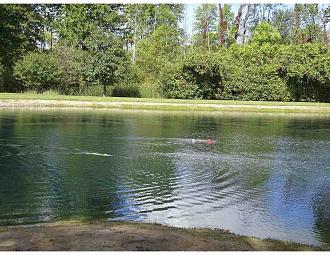 Click image for larger version

Name:	subs in water_1.jpg
Views:	69
Size:	519.5 KB
ID:	151867
