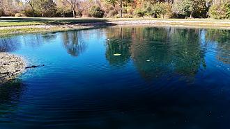 Click image for larger version

Name:	pond f.jpg
Views:	0
Size:	707.9 KB
ID:	151900