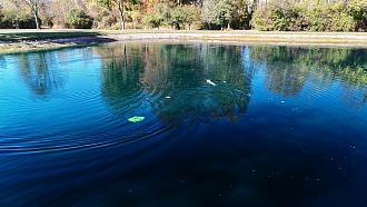Click image for larger version

Name:	pond e.jpg
Views:	0
Size:	664.5 KB
ID:	151901