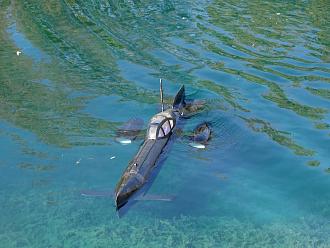 Click image for larger version

Name:	Hydra sub _1.jpg
Views:	0
Size:	1.60 MB
ID:	151915