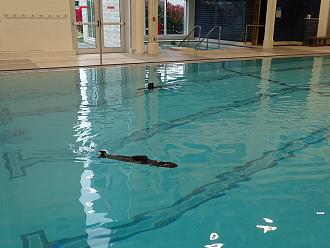 Click image for larger version

Name:	Akula and shark.jpg
Views:	0
Size:	1.44 MB
ID:	151932