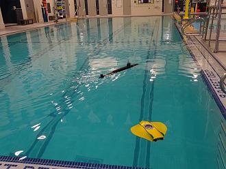 Click image for larger version

Name:	fs1 and Boone.jpg
Views:	0
Size:	1.56 MB
ID:	151980