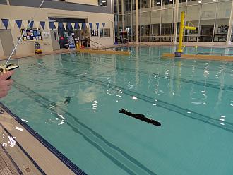 Click image for larger version

Name:	subs_1.jpg
Views:	29
Size:	1.50 MB
ID:	152117