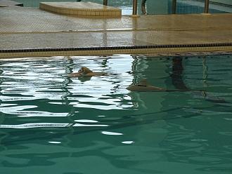 Click image for larger version

Name:	subs_2.jpg
Views:	30
Size:	1.55 MB
ID:	152118