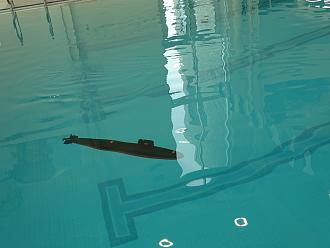 Click image for larger version

Name:	don o's shark.jpg
Views:	60
Size:	1.16 MB
ID:	152174