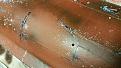 Click image for larger version

Name:	20150623_044751_resized.jpg
Views:	190
Size:	96.8 KB
ID:	127752
