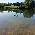 Click image for larger version

Name:	IMG_0759 [800x600].JPG
Views:	132
Size:	71.7 KB
ID:	129159