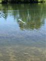 Click image for larger version

Name:	IMG_1433s.jpg
Views:	153
Size:	51.2 KB
ID:	130021