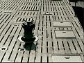 Click image for larger version

Name:	metal hatch covers 2 U505.jpg
Views:	144
Size:	304.3 KB
ID:	135125