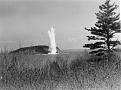 Click image for larger version

Name:	USS Piper torpedoes Bald Porcupine ANP (Medium).jpg
Views:	142
Size:	91.9 KB
ID:	137909